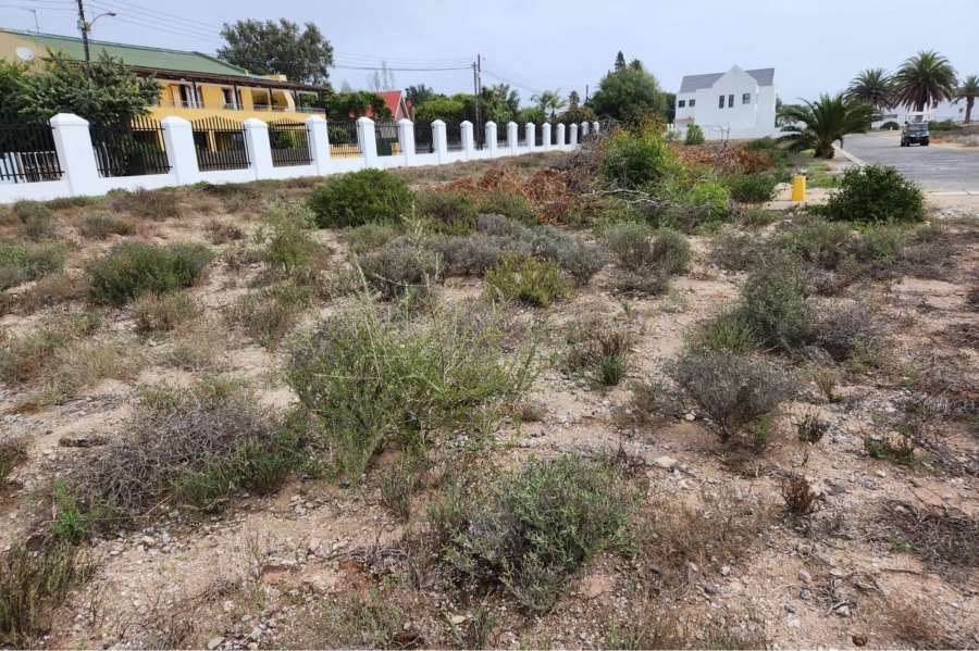 0 Bedroom Property for Sale in Shelley Point Western Cape